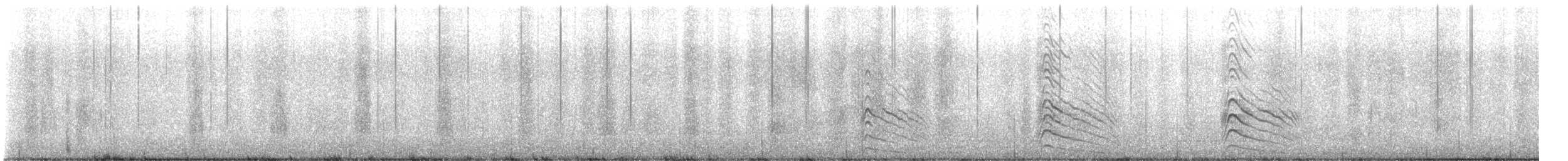 Cooper's Hawk - ML645510102