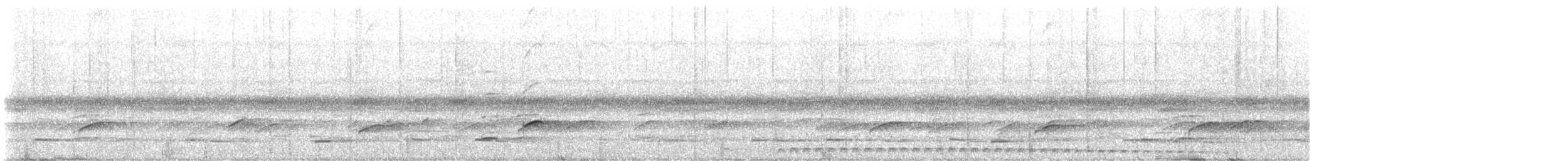 Puerto Rican Owl - ML645510627