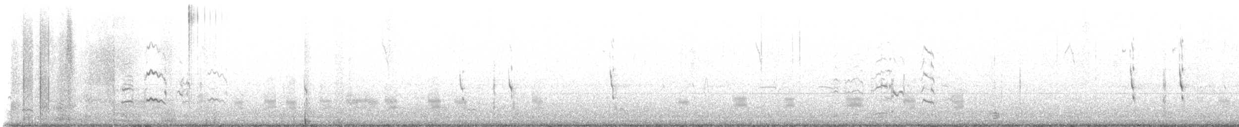 Belatz handia - ML645510647