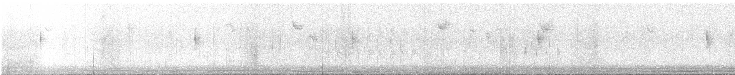 MacGillivray's Warbler - ML645510690