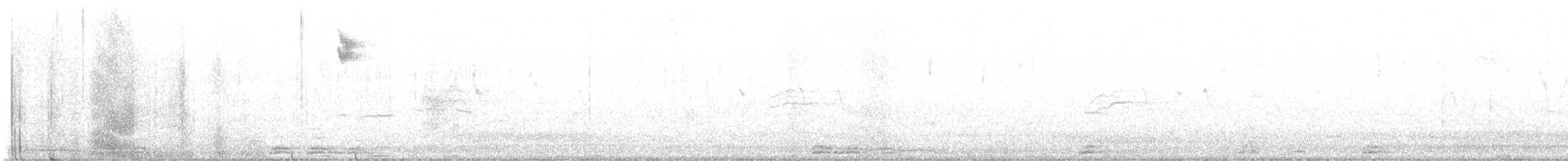 Cassin's Kingbird - ML645510910