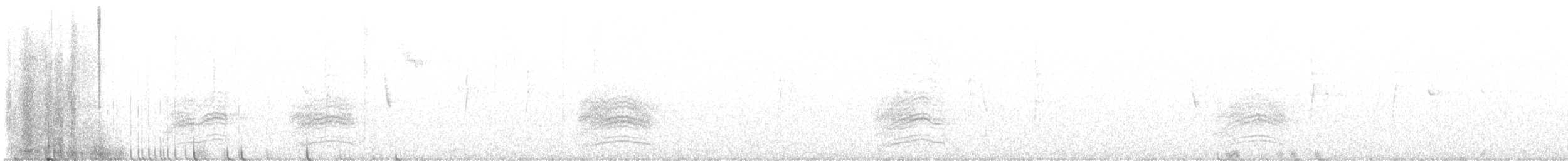 Пятнистый тохи - ML645511048