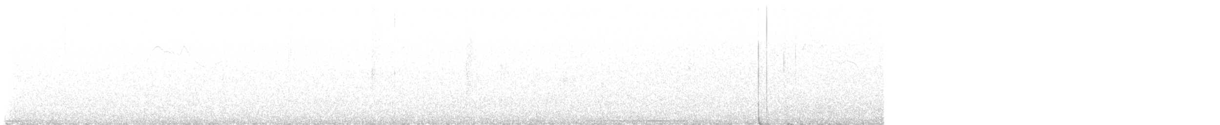 Bahama Bıldırcın Kumrusu - ML645511134