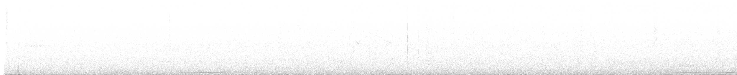 Bahama Bıldırcın Kumrusu - ML645511135