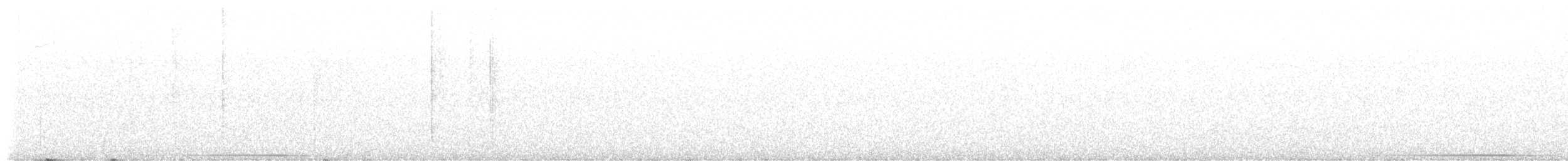 Bahama Bıldırcın Kumrusu - ML645511137