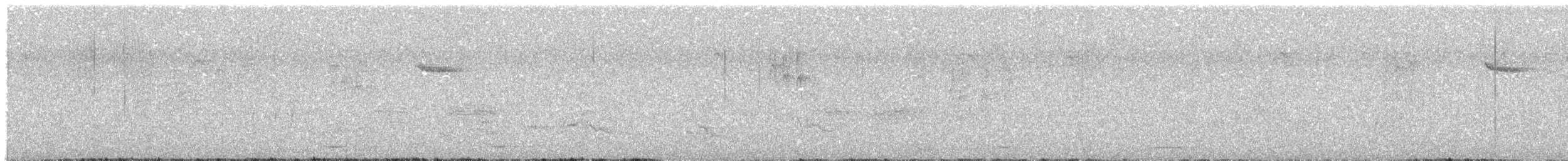 Northern Pygmy-Owl - ML645511184