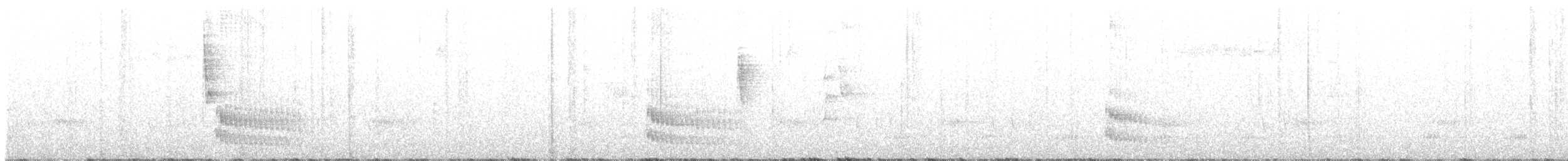 Collared Trogon - ML645511243