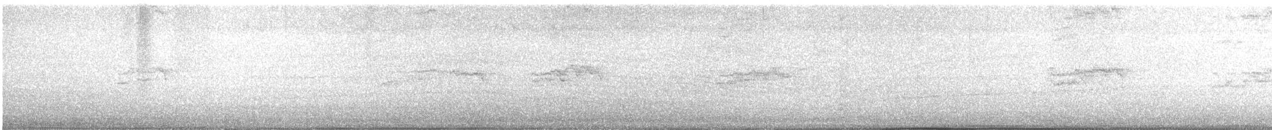 Rock Pigeon (Feral Pigeon) - ML645511941