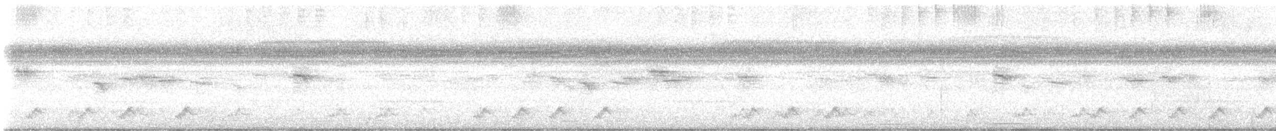 Puerto Rican Nightjar - ML645512515