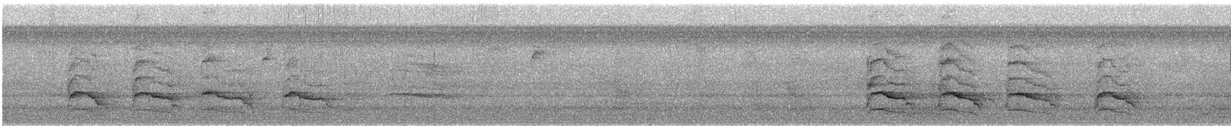 Red-shouldered Hawk - ML645512593