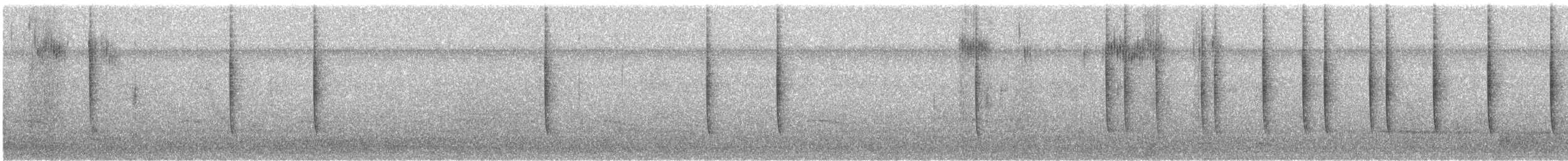 Rufous Hummingbird - ML645512618