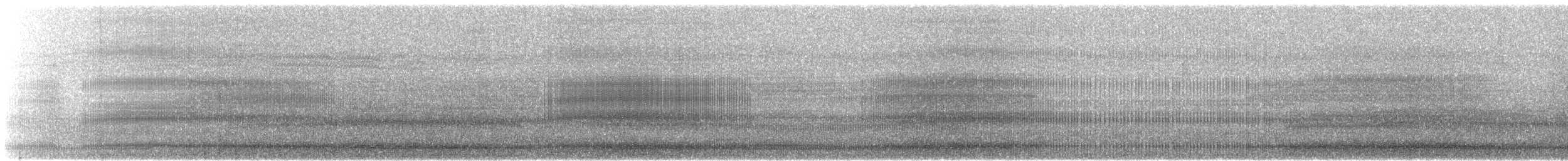 Gray Go-away-bird - ML645512935