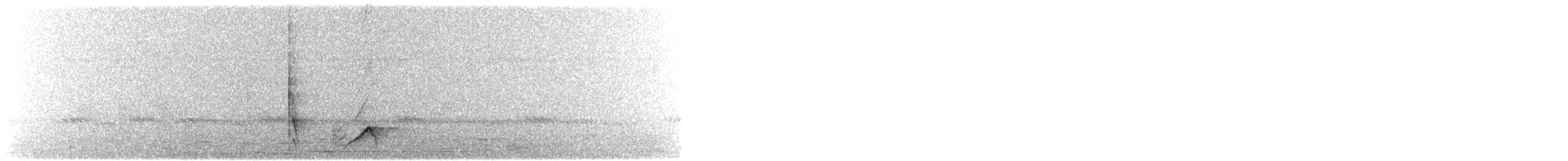 Black-backed Puffback - ML645512944