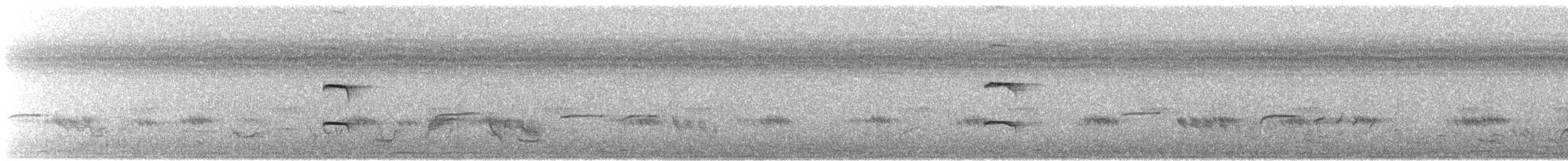 African Gray Hornbill - ML645512952