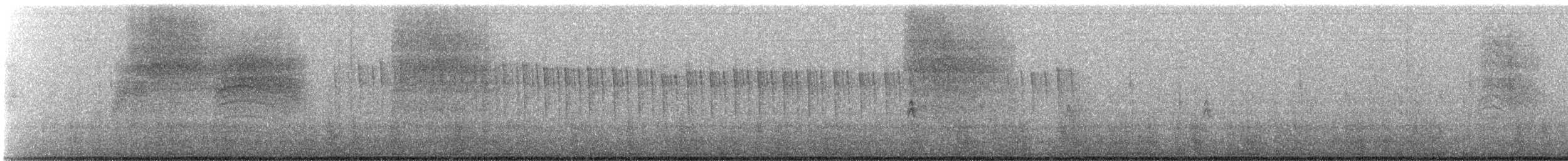 Black-tailed Gnatcatcher - ML645513855