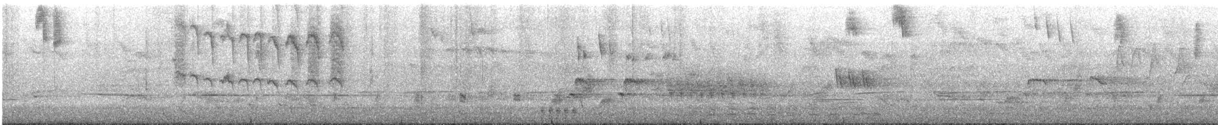 Superb Fairywren - ML645513916