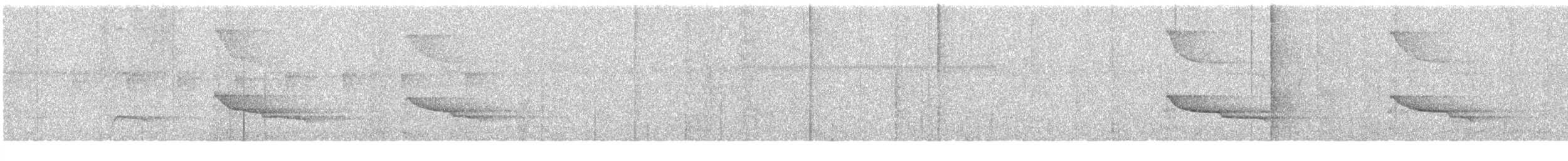 White-browed Hawk - ML645513953