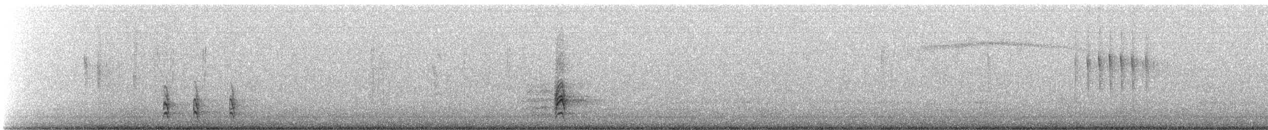 American Robin - ML645514148