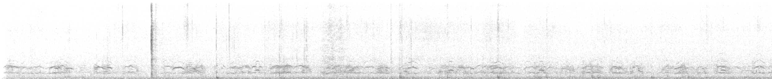 Snow Goose - ML645514727