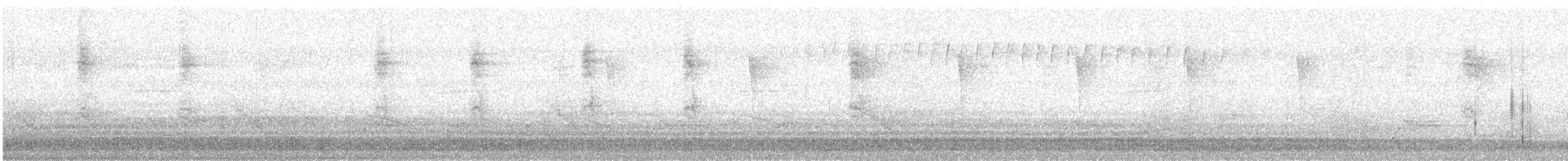 Magnolia Warbler - ML645514966