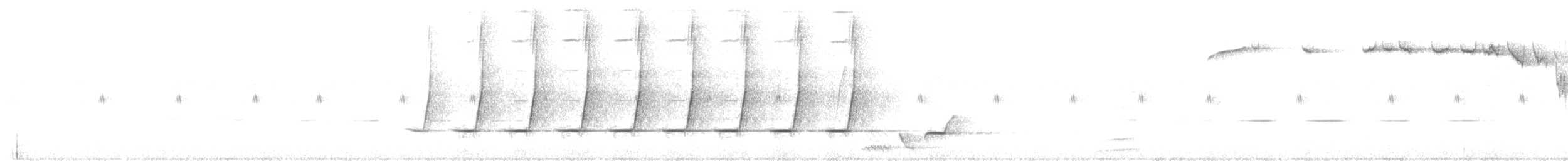 kosovec skvrnitý - ML645515199