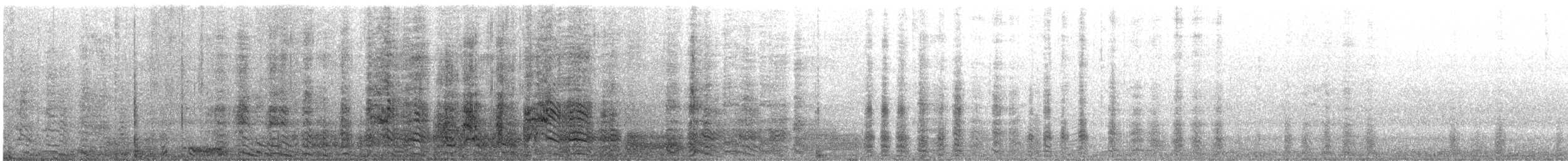 Буревісник тонкодзьобий - ML645515468