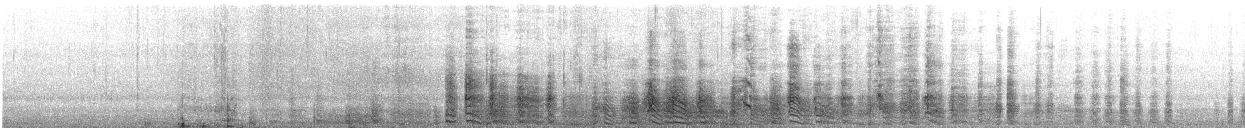 Буревісник тонкодзьобий - ML645515548