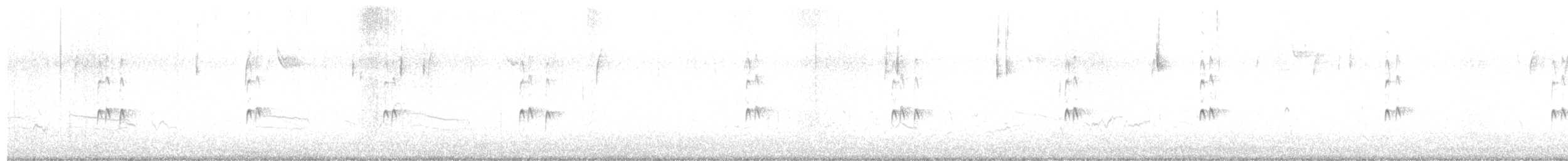 Поплітник каролінський - ML645515937