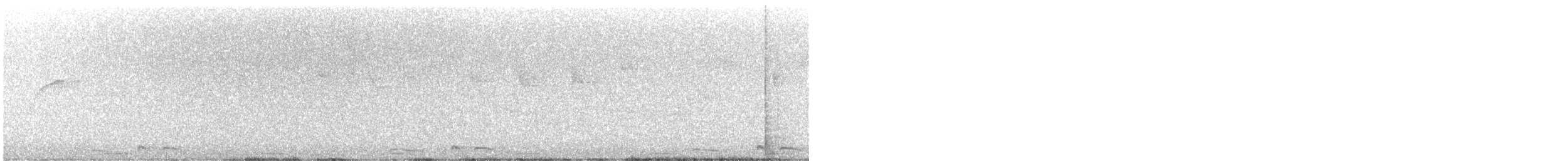 Талпакоті строкатоголовий - ML645516429