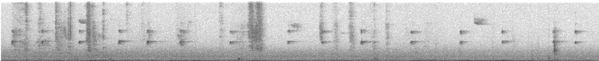 Поплітник каролінський - ML645516607