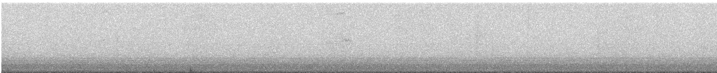 Пугач віргінський - ML645516630