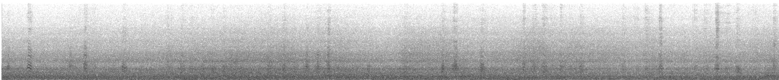 ハシボソミズナギドリ - ML645516963