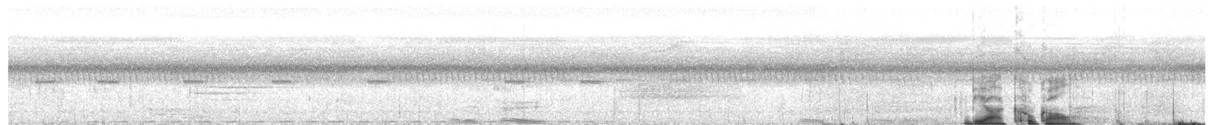 Коукал біацький - ML645517013