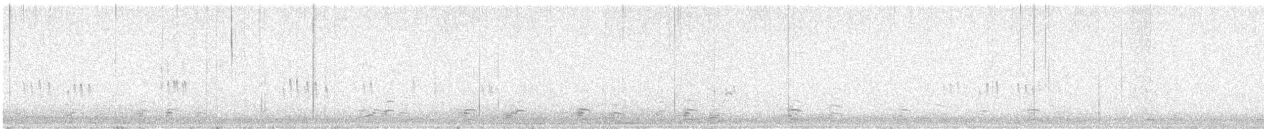 Лапландский подорожник - ML645517100