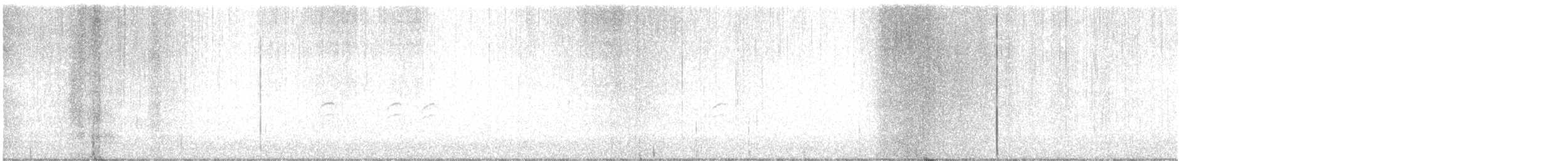 křivka bělokřídlá - ML645517285