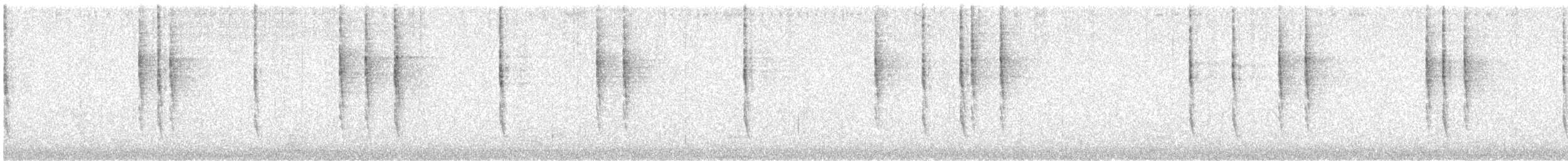 Тихоокеанский крапивник (pacificus) - ML645517360