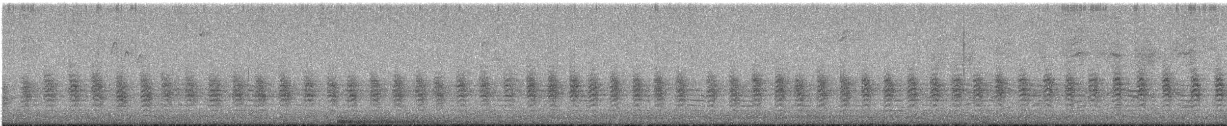 Канадский поползень - ML645517412
