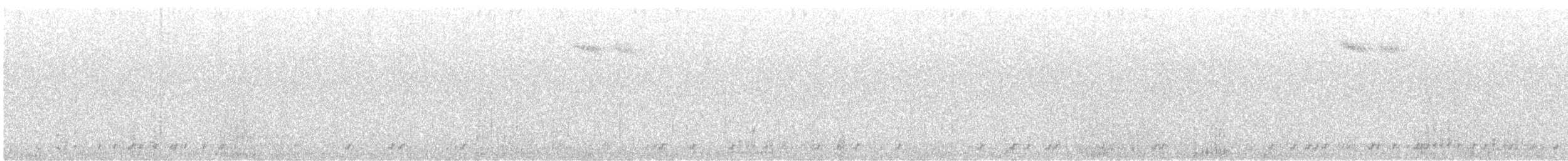 Пестроносый турпан - ML645517637