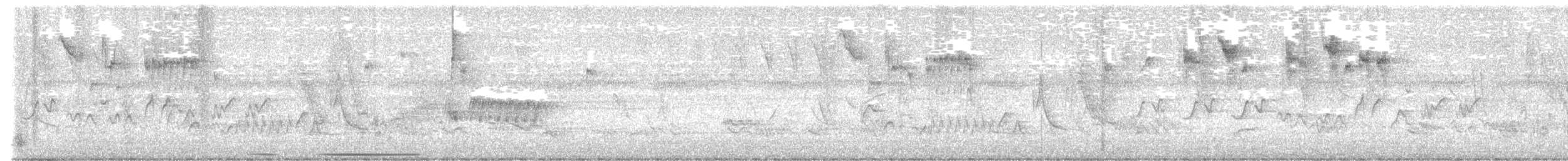 White-tipped Dove - ML645518286