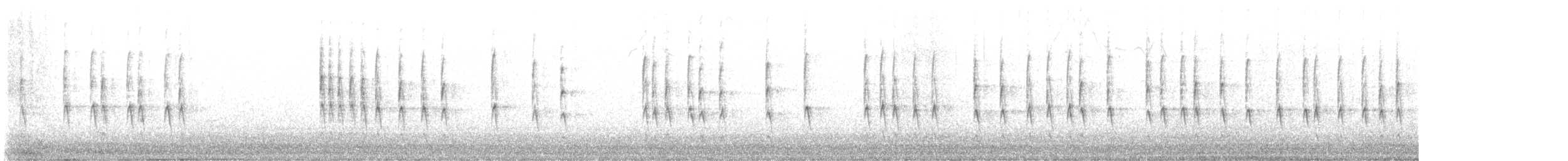 フユミソサザイ - ML645518808