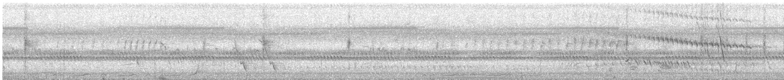 Tawny Grassbird - ML645519079