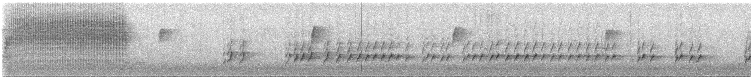 Carolina Wren - ML645519908