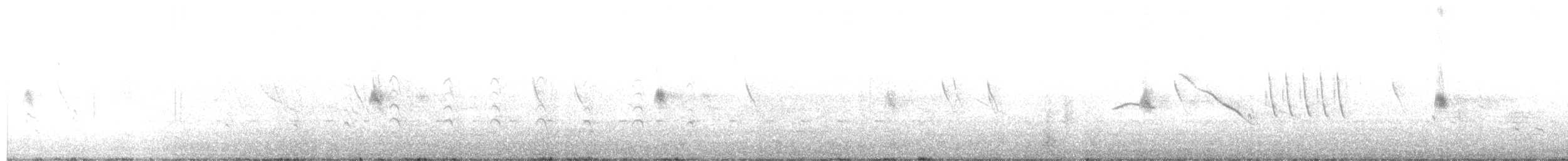 Greater Yellowlegs - ML645520003