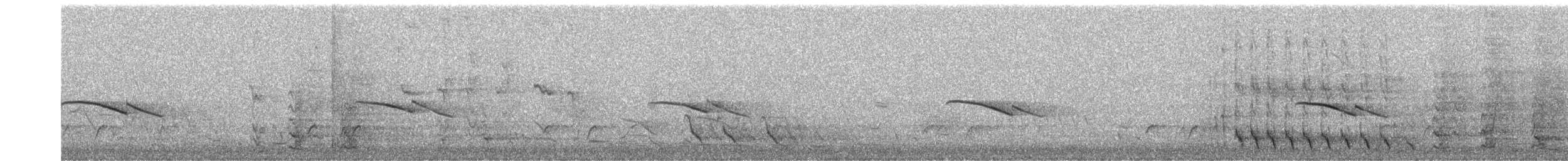 Horsfield's Bronze-Cuckoo - ML645520133