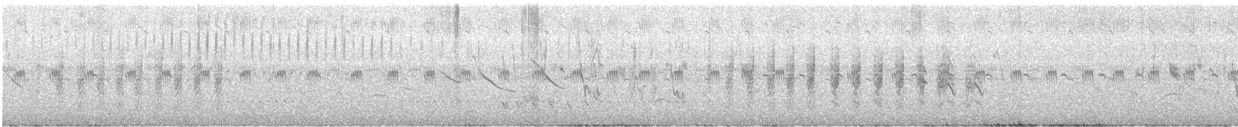 Lesser Grass-Finch - ML645521614