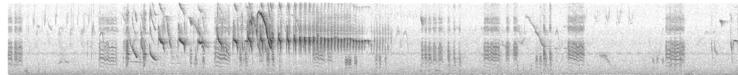 Straight-billed Reedhaunter - ML645521623