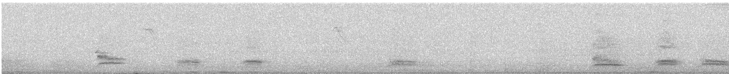 オニカッコウ - ML645522044