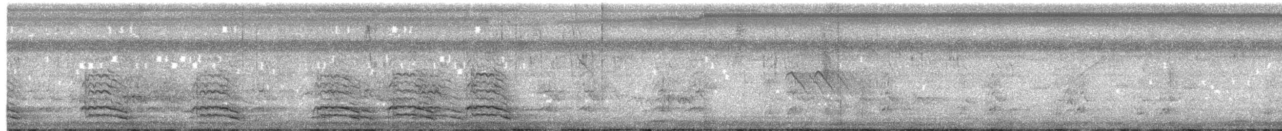 Желтошапочный амазон - ML645522057