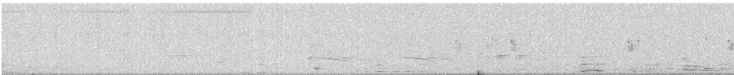 Cuco Pechigrís - ML645522304