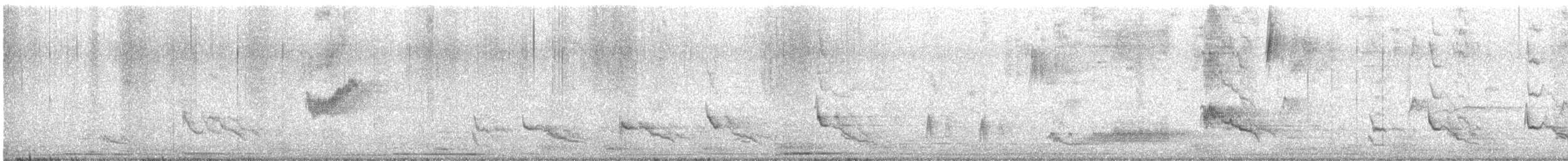 langstjertspottefugl - ML645522722